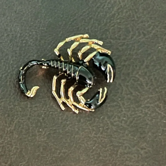 Beautiful SCORPION Brooch❣️ - Picture 3 of 5